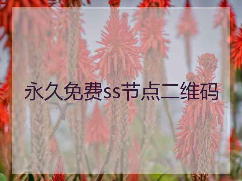 永久免费ss节点二维码