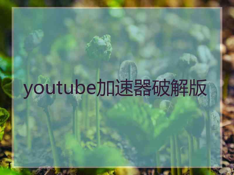 youtube加速器破解版