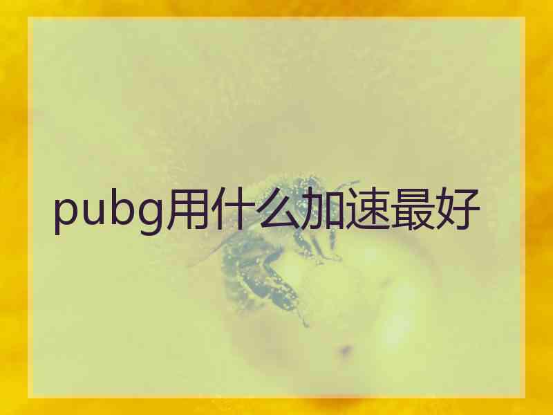 pubg用什么加速最好
