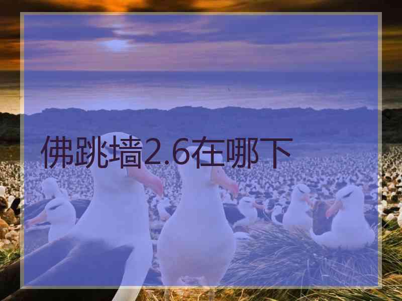 佛跳墙2.6在哪下