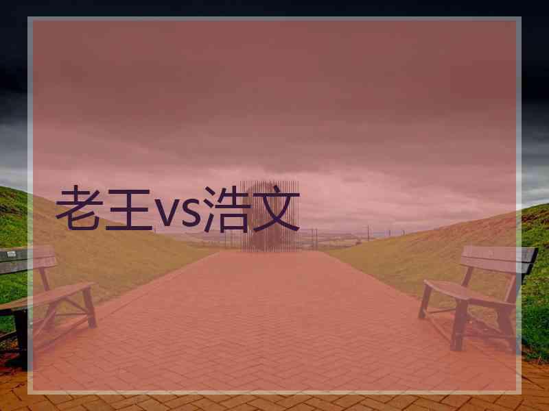 老王vs浩文