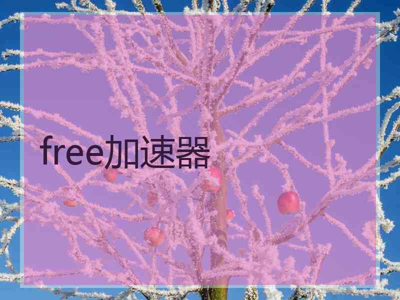 free加速器