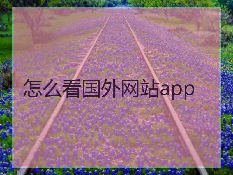 怎么看国外网站app