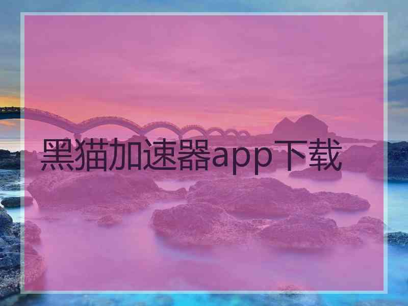 黑猫加速器app下载