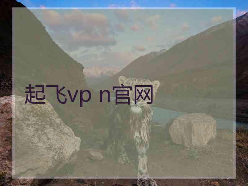 起飞vp n官网