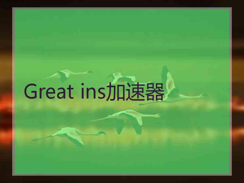Great ins加速器