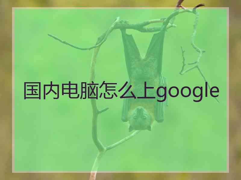 国内电脑怎么上google