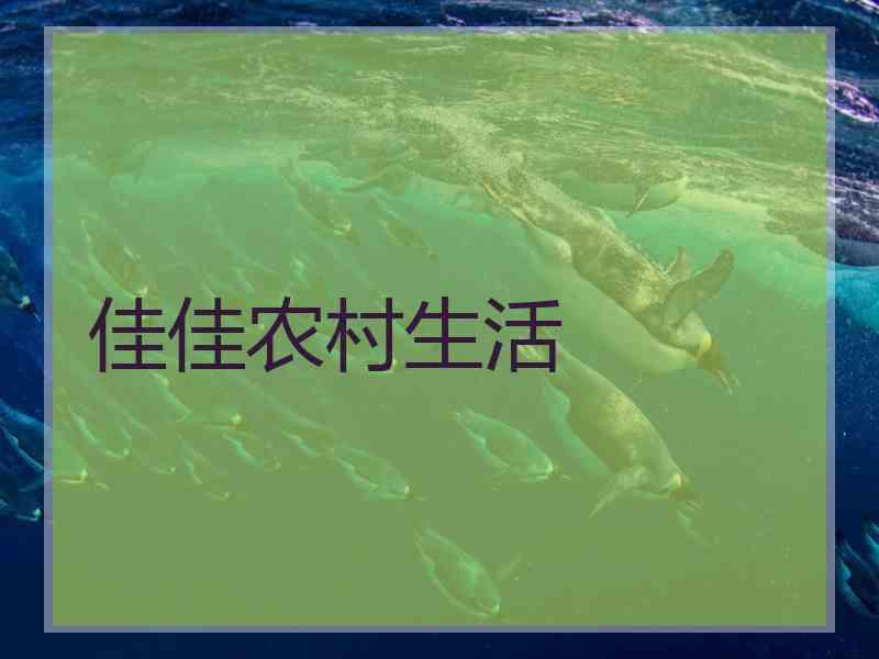 佳佳农村生活