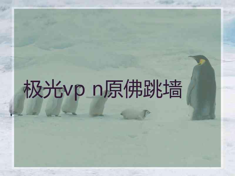 极光vp n原佛跳墙