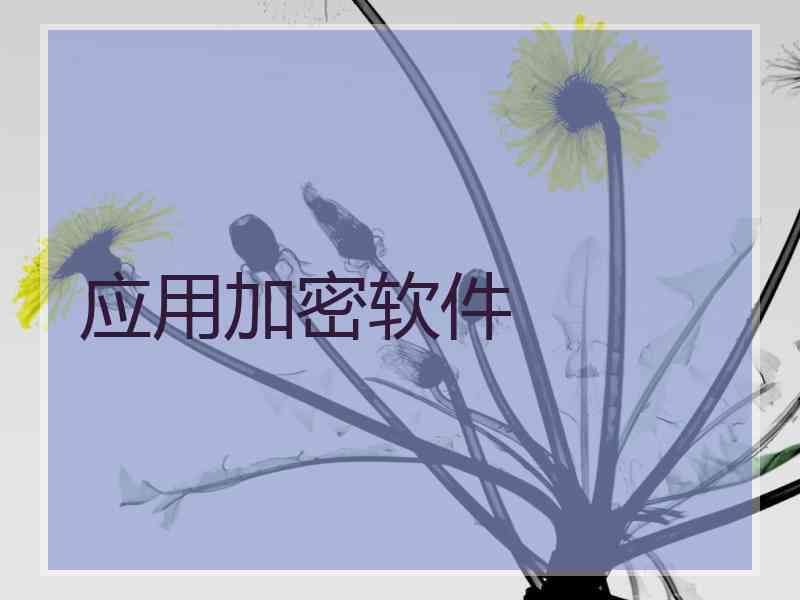 应用加密软件