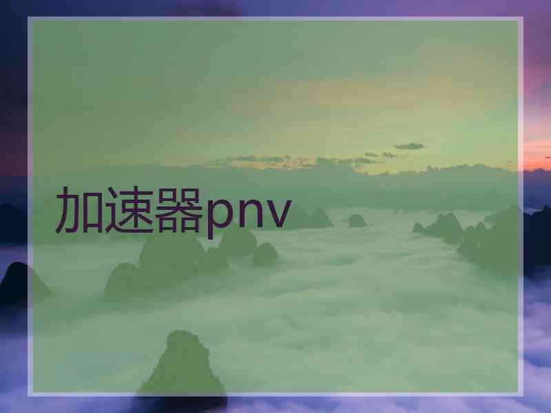 加速器pnv