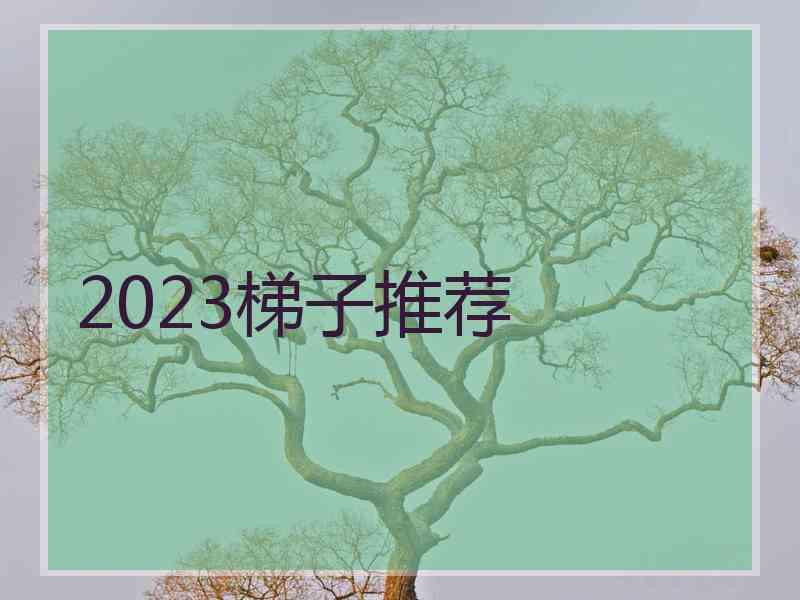 2023梯子推荐