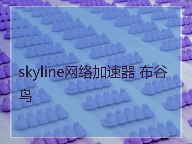 skyline网络加速器 布谷鸟