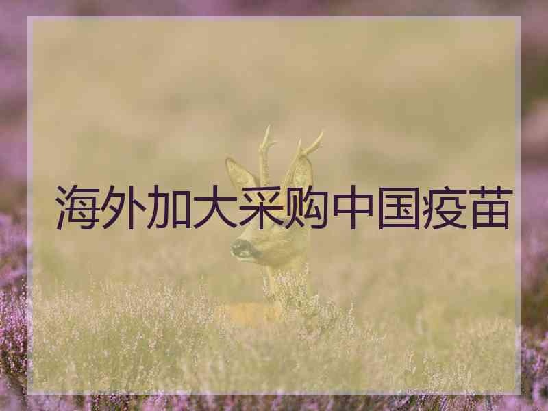 海外加大采购中国疫苗