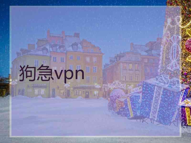 狗急vpn