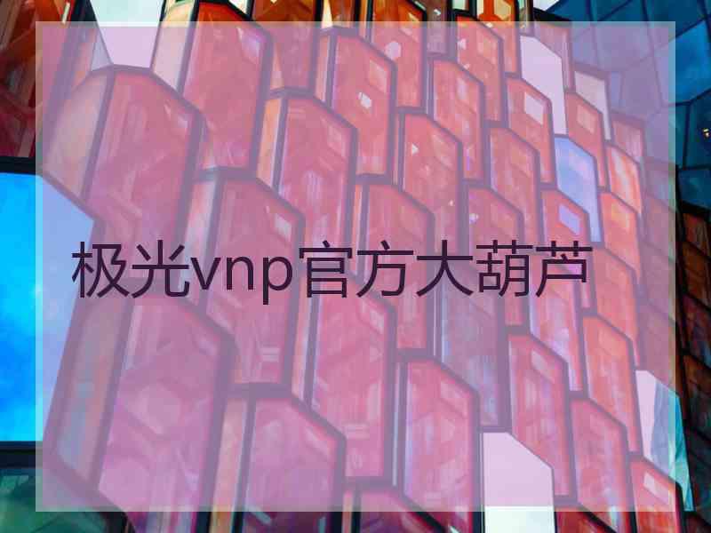 极光vnp官方大葫芦