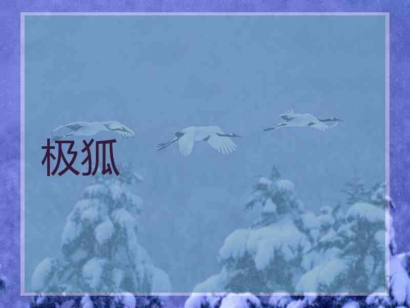 极狐
