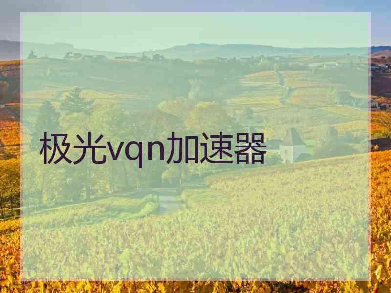 极光vqn加速器