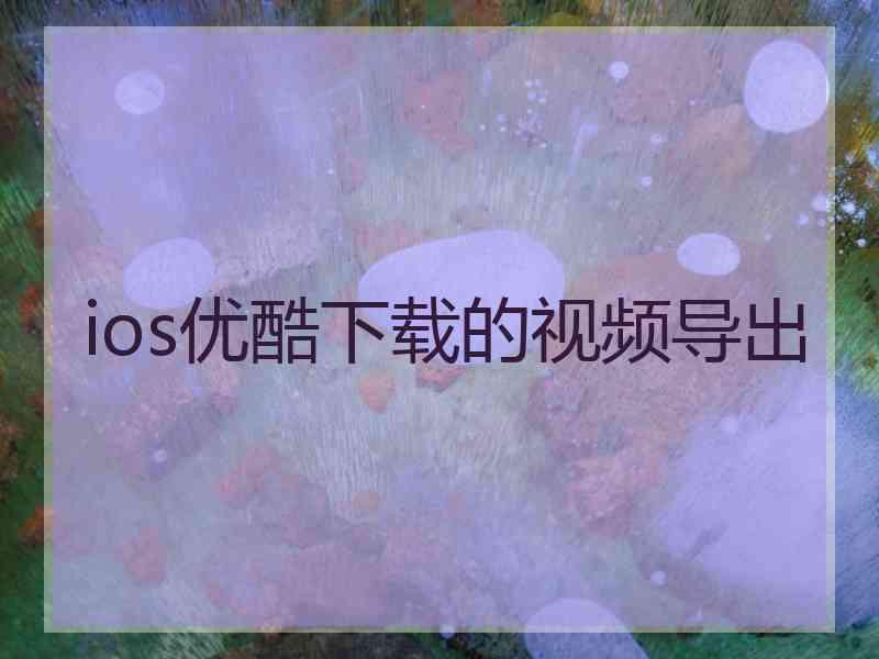 ios优酷下载的视频导出