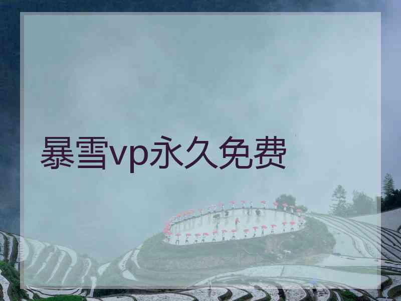 暴雪vp永久免费