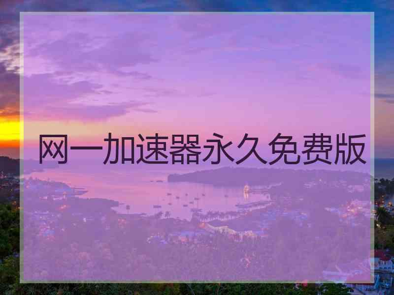 网一加速器永久免费版