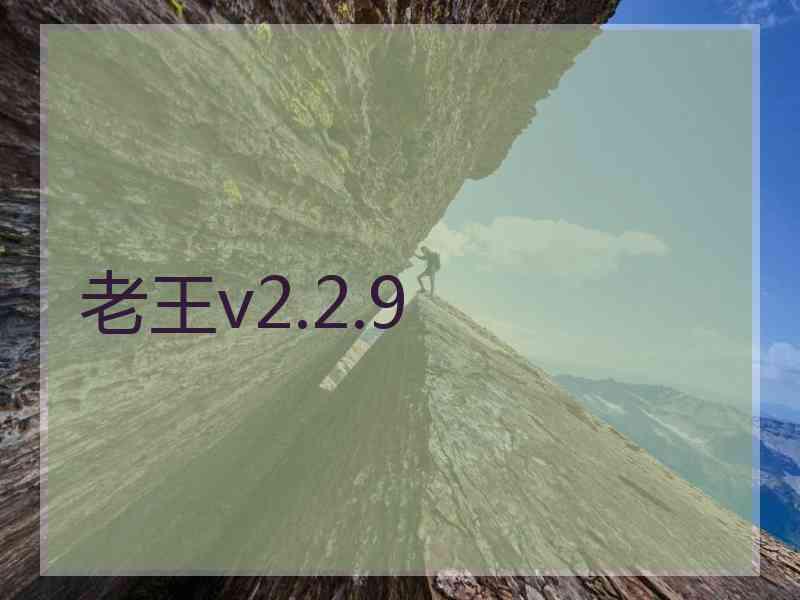 老王v2.2.9