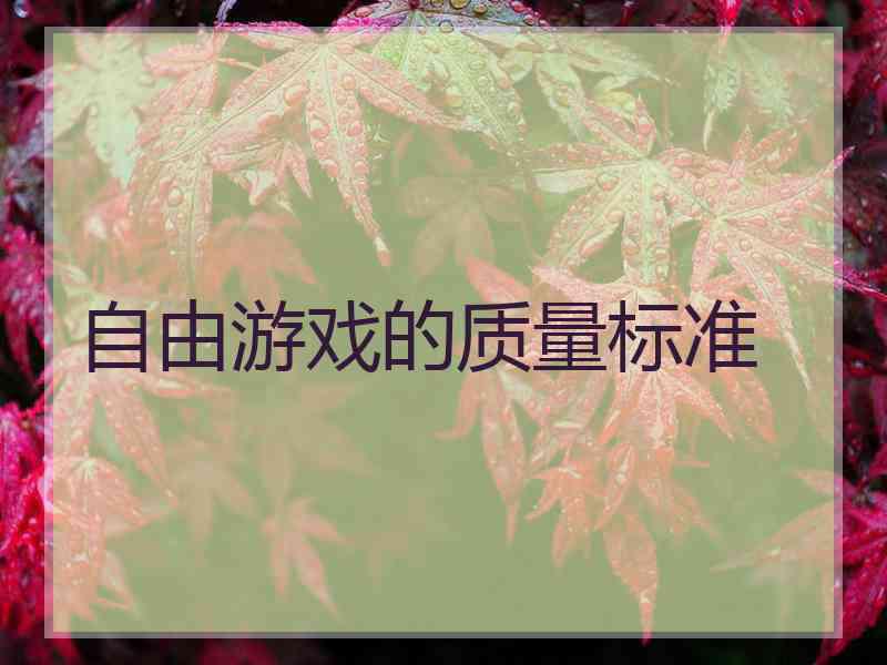 自由游戏的质量标准