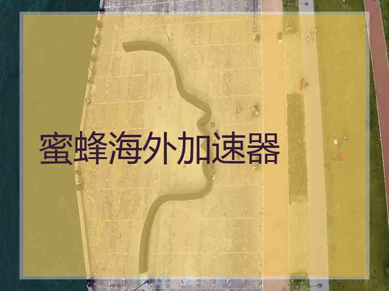 蜜蜂海外加速器