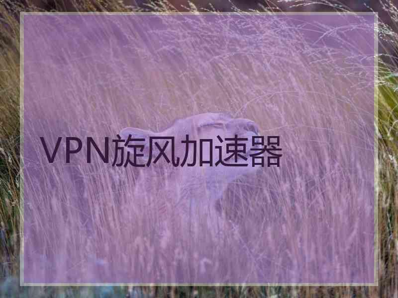 VPN旋风加速器