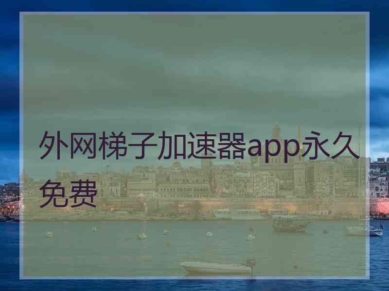 外网梯子加速器app永久免费