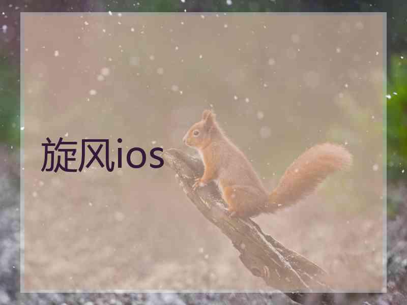 旋风ios