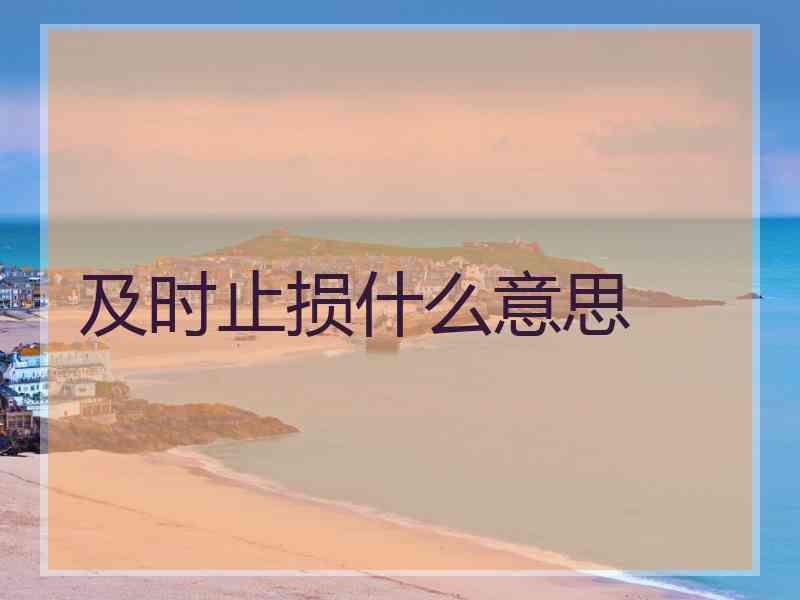 及时止损什么意思