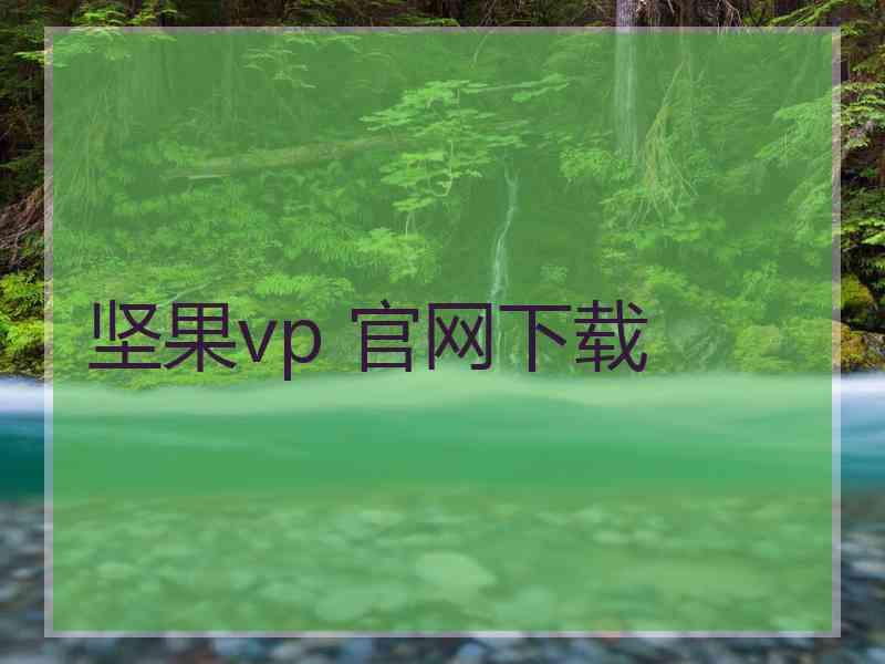 坚果vp 官网下载