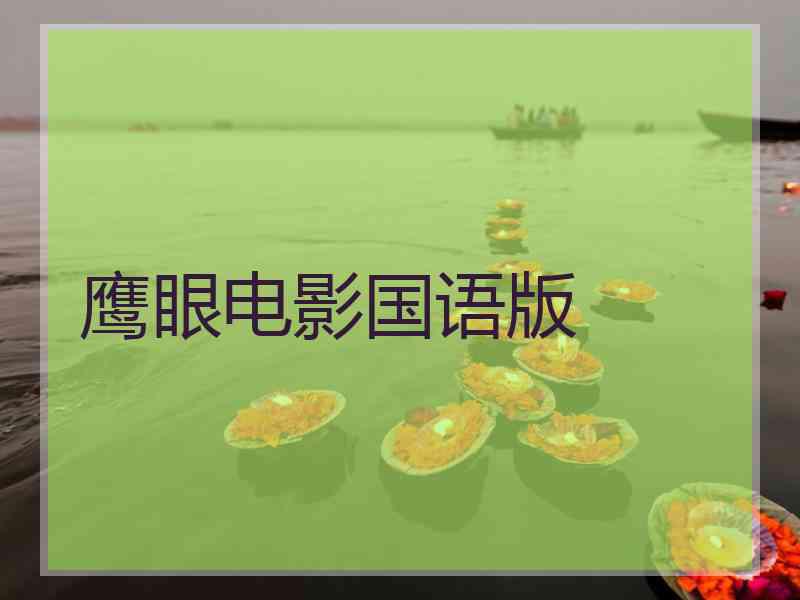 鹰眼电影国语版