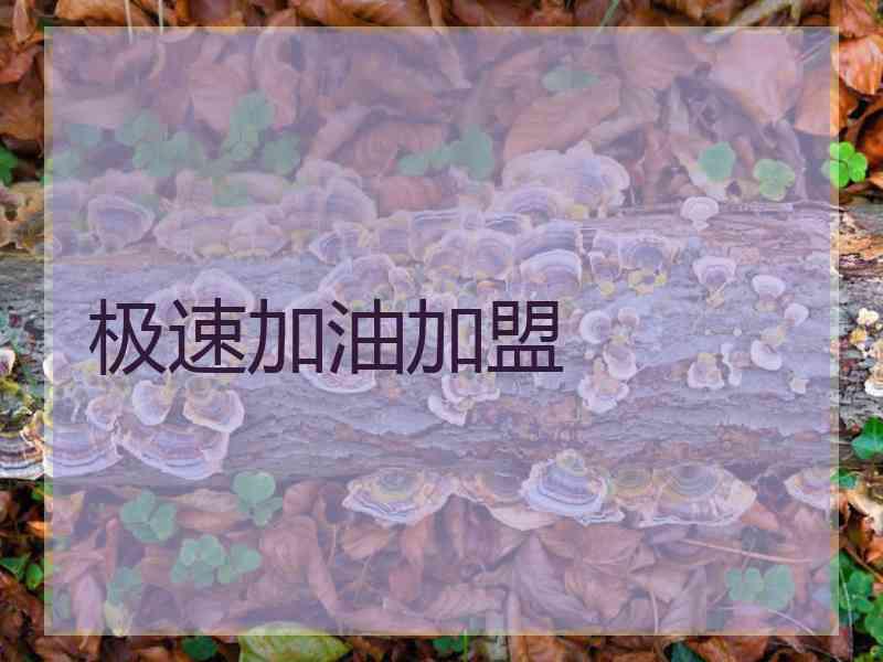 极速加油加盟