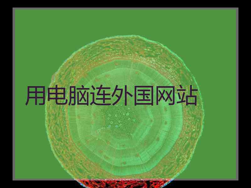 用电脑连外国网站