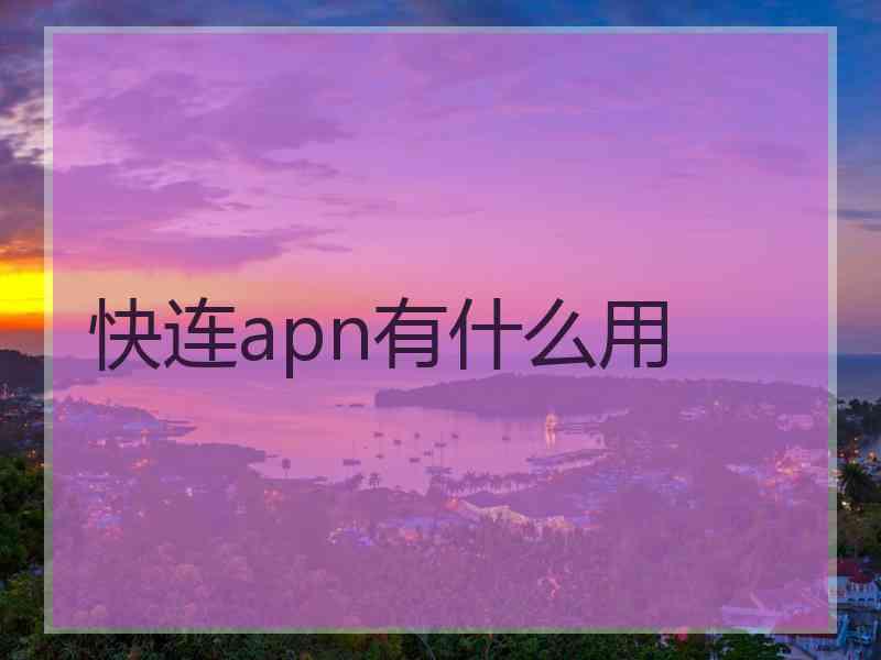 快连apn有什么用