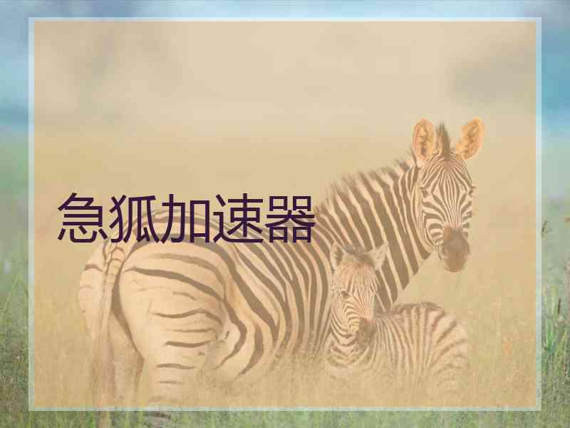 急狐加速器