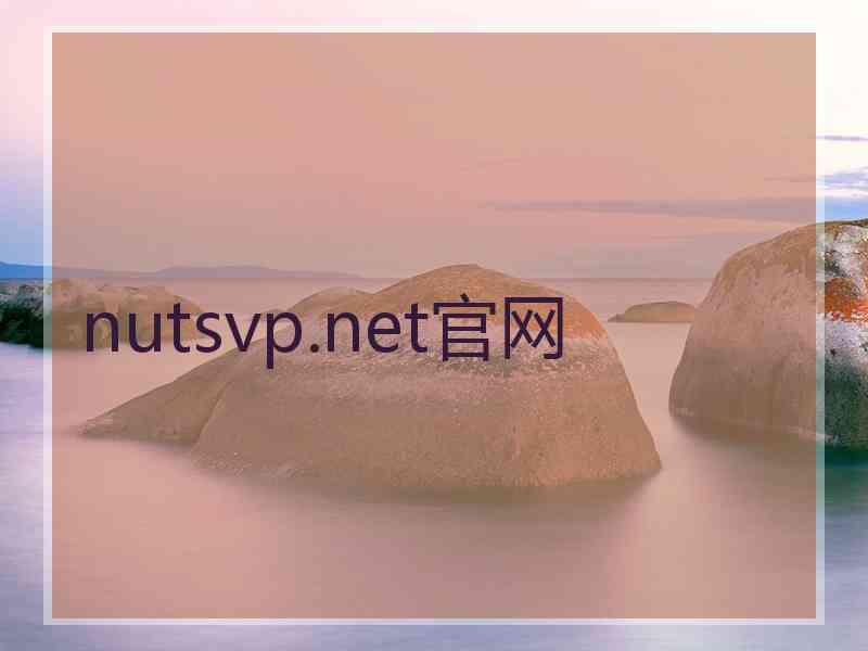 nutsvp.net官网