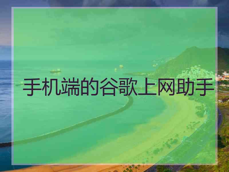 手机端的谷歌上网助手