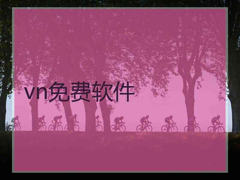 vn免费软件