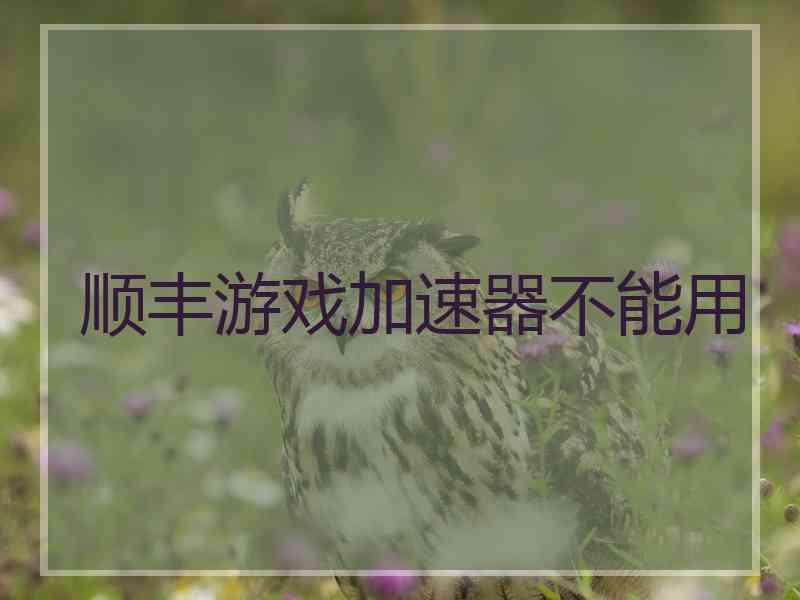 顺丰游戏加速器不能用
