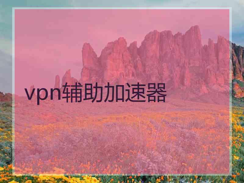 vpn辅助加速器