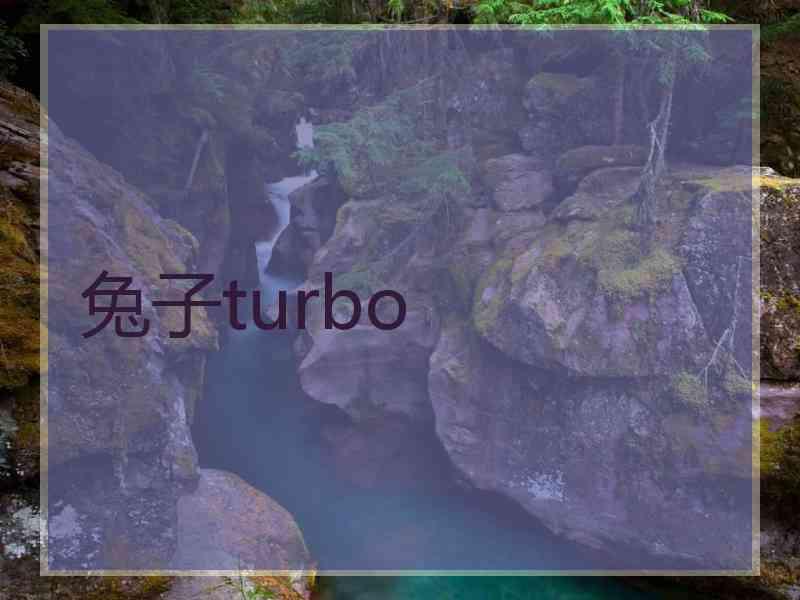 兔子turbo