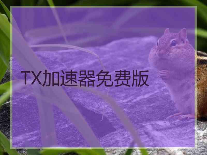 TX加速器免费版