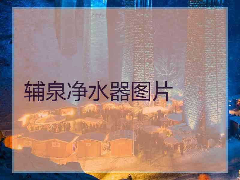 辅泉净水器图片