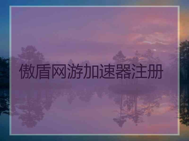 傲盾网游加速器注册