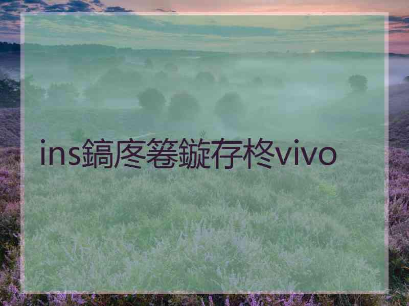 ins鎬庝箞鏇存柊vivo