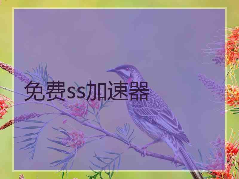 免费ss加速器