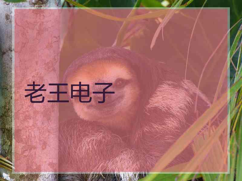 老王电子